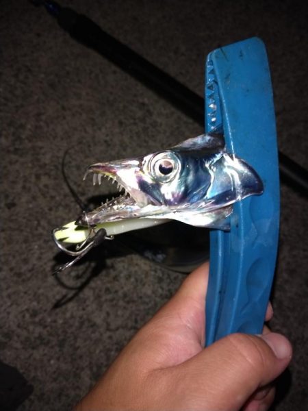 初めてのポイント